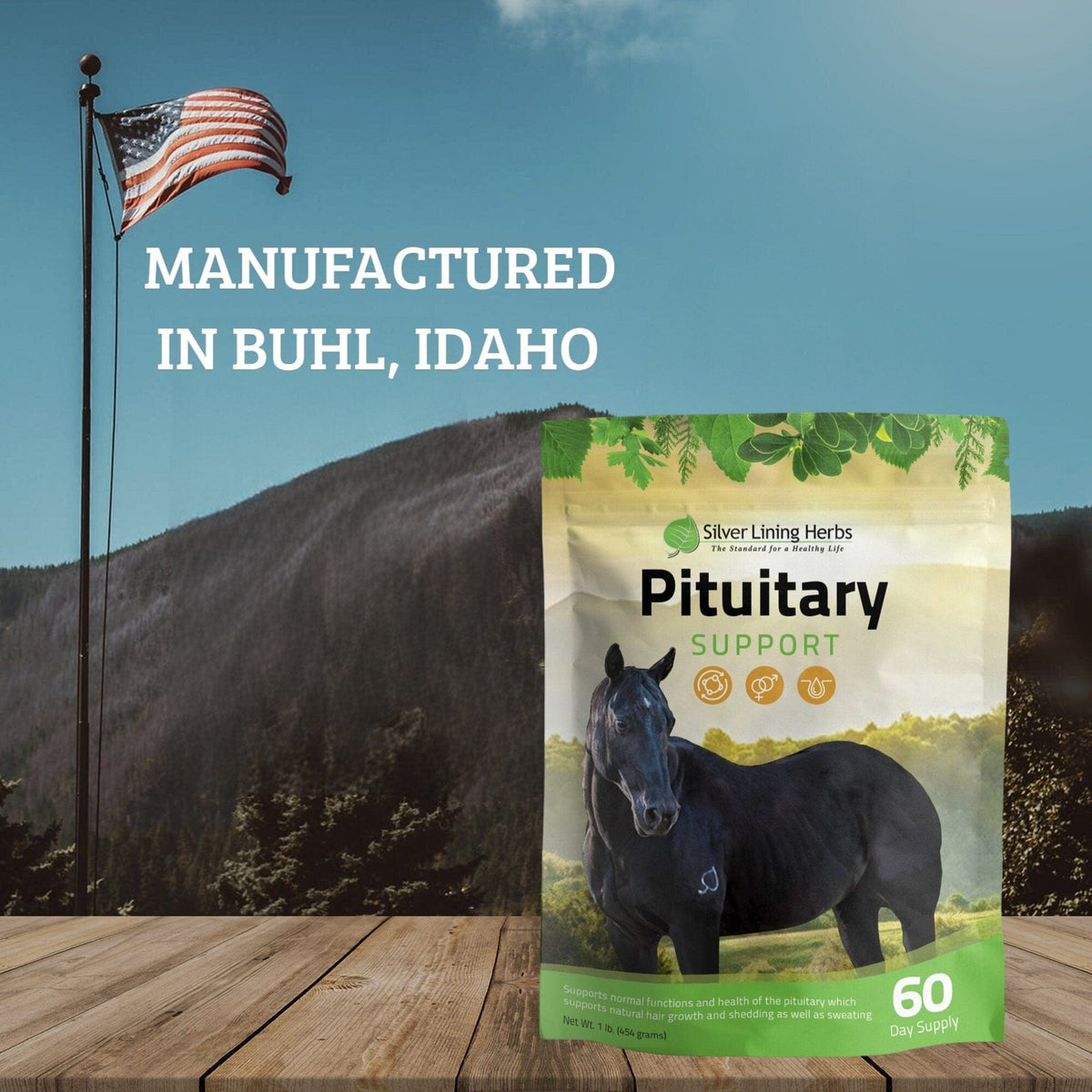 Pituitary Support for Horses