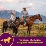 Red Cell Vitamin-Iron-Mineral Supplement for Horses (Gallon)