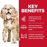 Hill's Science Diet Adult 11+ Small & Mini Chicken Meal, Brown Rice & Barley Recipe Dry Dog Food