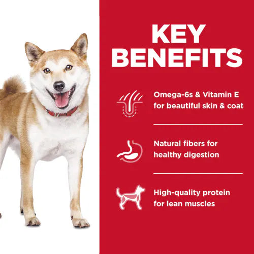 Hill's Science Diet Adult No Corn, Wheat or Soy Dry Dog Food, Chicken Recipe