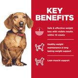 Hill's Science Diet Adult Perfect Weight Small & Mini Chicken Recipe Dry Dog Food, 4 lb bag