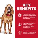 Hill's Science Diet Adult Sensitive Stomach & Skin Large Breed Chicken & Barley Recipe Dry Dog Food (30 lb)