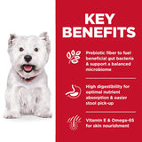 Hill's Science Diet Adult Sensitive Stomach & Skin Small Bites Chicken Recipe Dry Dog Food