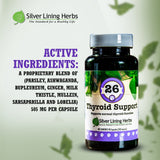 Thyroid Support for Canines