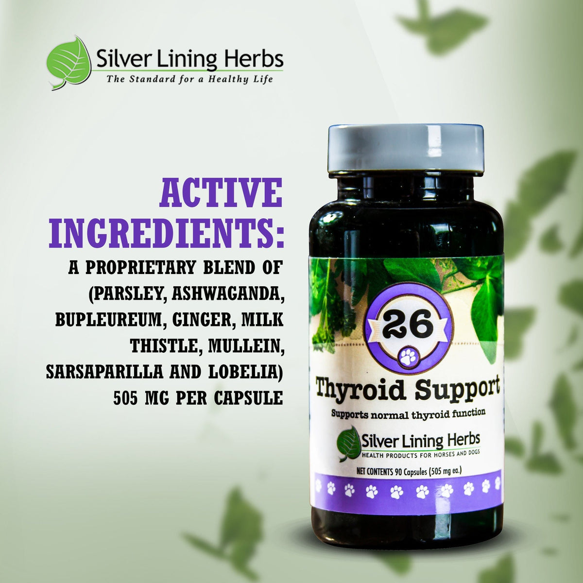 Thyroid Support for Canines