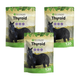 Thyroid Support for Horses