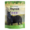 Thyroid Support for Horses