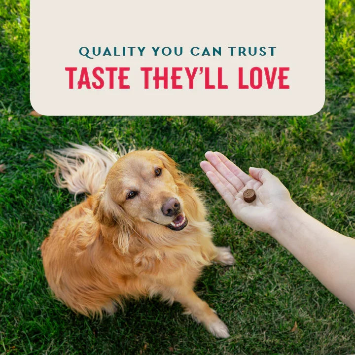 VetIQ 8-in-One Multi Functional Supplement for Dogs (60 soft chews)