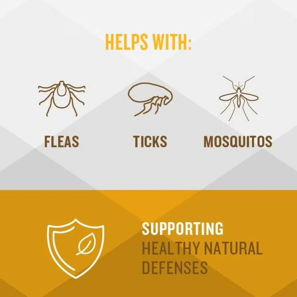 VetIQ Flea & Tick Support for Dogs (60 soft chews)