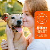 VetIQ Skin & Coat Soft Chew Supplement for Dogs (60 soft chews)