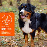 VetIQ Skin & Coat Soft Chew Supplement for Dogs (60 soft chews)