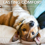 Vet's Best Hot Spot Shampoo (16 oz)