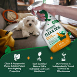 Vet's Best Natural Flea & Tick Dog & Home Spray (32 oz)