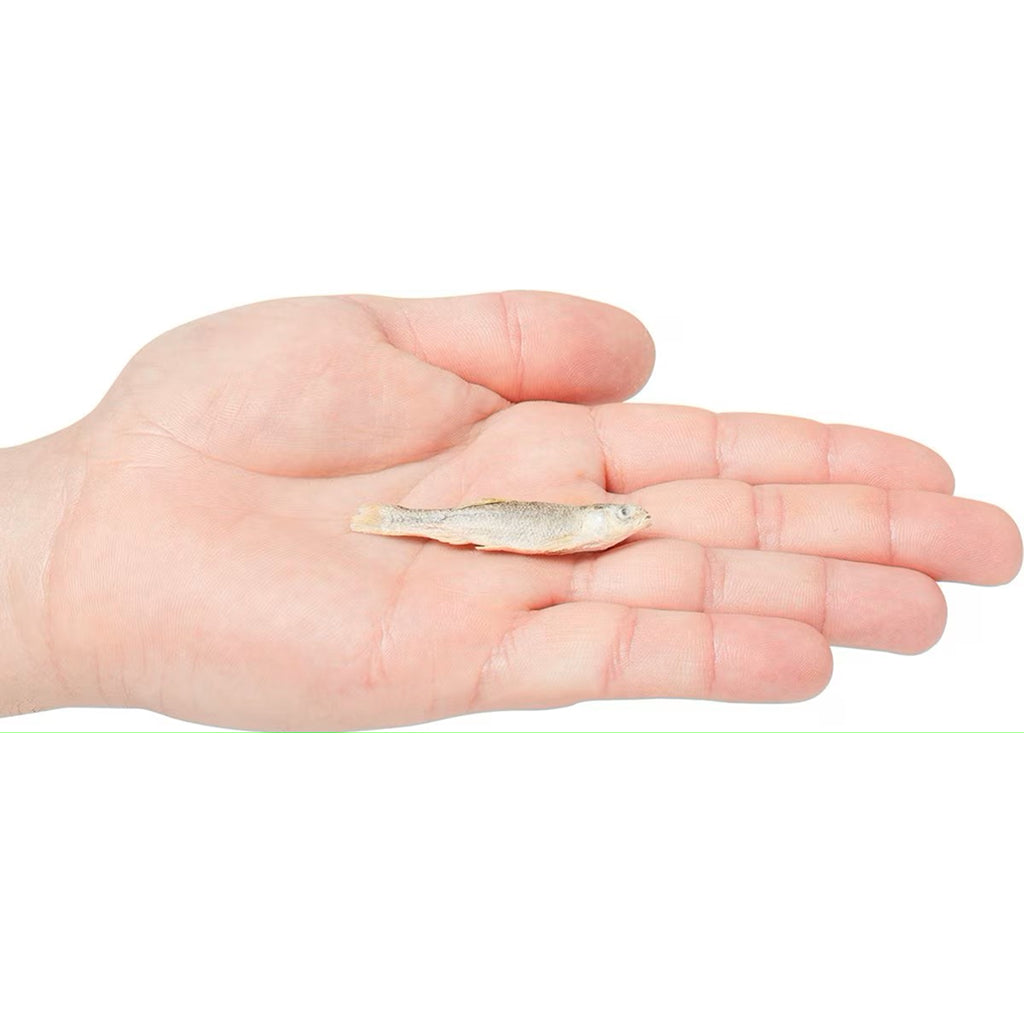 Vital Essentials Freeze-Dried Raw Minnows Treats For Cats
