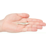 Vital Essentials Freeze-Dried Raw Minnows Treats For Cats