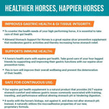 Vitalize Alimend Stomach Comfort Gastric Support for Horses