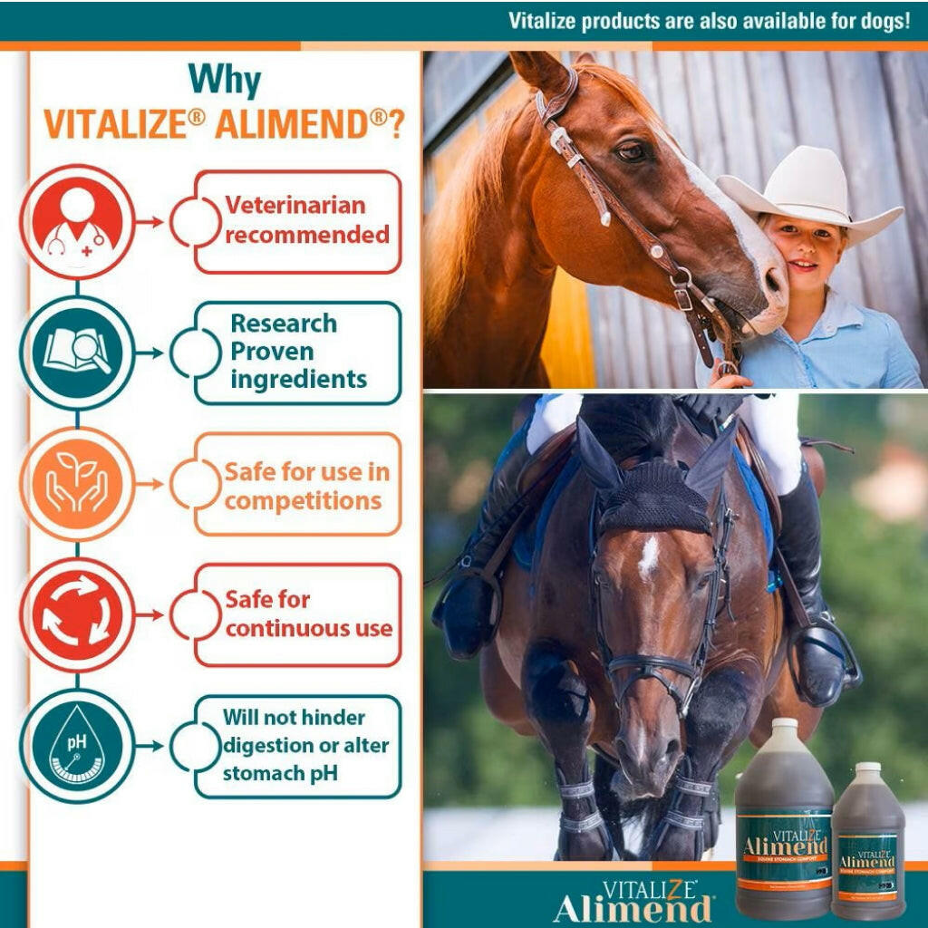 Vitalize Alimend Stomach Comfort Gastric Support for Horses