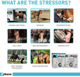 Zylkene Equine Behavior Support for Horses (20 packets)
