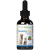 Dandelion Root Digestive & Liver Support for Cats