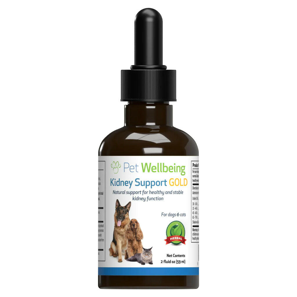 Pet Wellbeing Kidney Support Gold for Dogs & Cats
