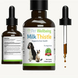Milk Thistle Supplement for Healthy Liver Function in Dogs