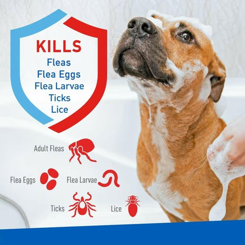 Adams Plus Flea and Tick Shampoo with Precor For Dogs & Cats