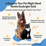 Nettle-Eyebright Gold - Seasonal Allergy Defense for Cats
