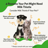 Milk Thistle - for Healthy Liver Function in Cats