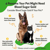 Pet Wellbeing- Blood Sugar Gold for Dog Blood Sugar