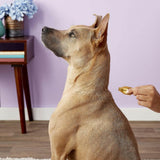 Dermoscent Essential 6 Spot-On for Small Dogs up to 22 lbs (4 count)