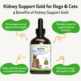 Pet Wellbeing Kidney Support Gold for Dogs & Cats