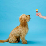 Ethical Pup Ice Rocket Lollies Ready to Freeze Dog Treats, 2 pack