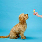 Ethical Pup Ice Rocket Lollies Ready to Freeze Dog Treats, 2 pack