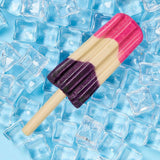 Ethical Pup Ice Rocket Lollies Ready to Freeze Dog Treats, 2 pack