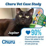 INABA Veterinarian Formula Churu Nourish, Chicken & Tuna Recipe Lickable Treats for Cats