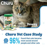 INABA Veterinarian Formula Churu Nourish, Chicken & Tuna Recipe Lickable Treats for Cats
