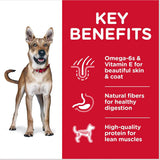 Hill's Science Diet Adult Dry Dog Food Chicken & Barley Recipe