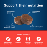 Synovi G3 Soft Chews Joint Supplement for Dogs