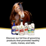 Absorbine Showsheen 2-in-1 Shampoo & Conditioner for Horses (20 oz)
