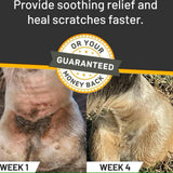 Absorbine Silver Honey Rapid Skin Relief Vet Strength Scratches Spray for Horses