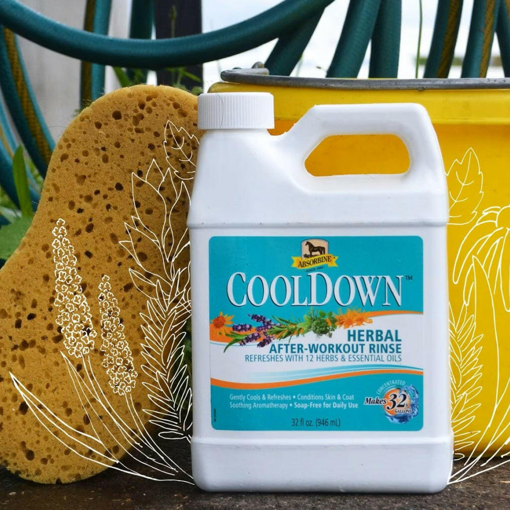 Absorbine Cooldown Herbal After Workout Rinse for Horses