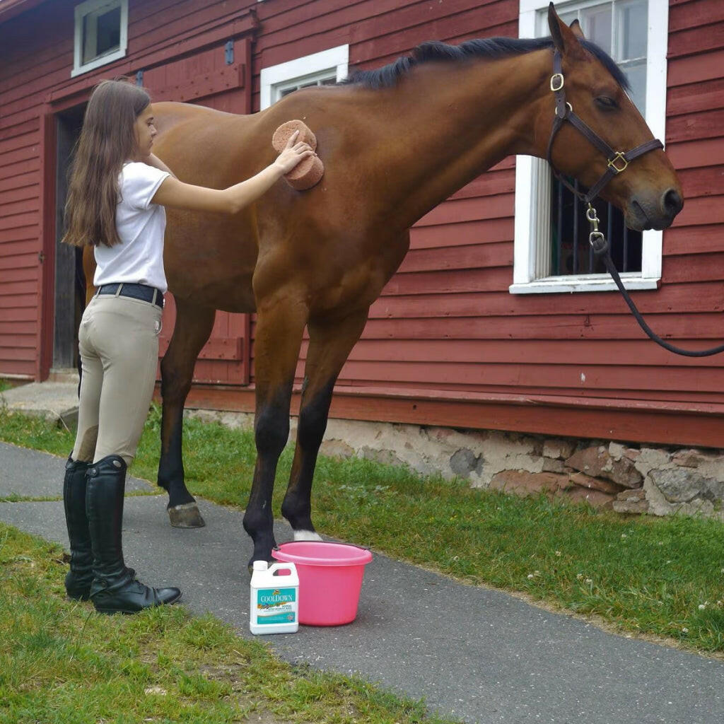 Absorbine Cooldown Herbal After Workout Rinse for Horses