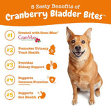Zesty Paws Cranberry Bladder Bites Chicken Flavor Chews for Dogs (90 ct)