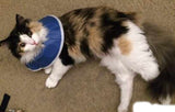 Elizasoft Collar - Cats and Small Dogs - 5.5 inches deep - 1 collar
