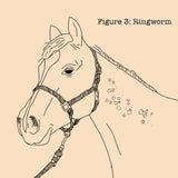 Absorbine Fungasol Spray for Horses (22 oz)