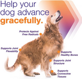 MovoFlex ADVANCED Joint Support for Large Dogs (60 soft chews)