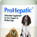 ProHepatic Liver Support Supplement for Medium Dogs