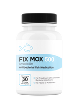 Fix Mox (Amoxicillin)
