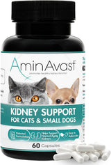 AminAvast Kidney Support Capsules for Cats - 60 Capsules