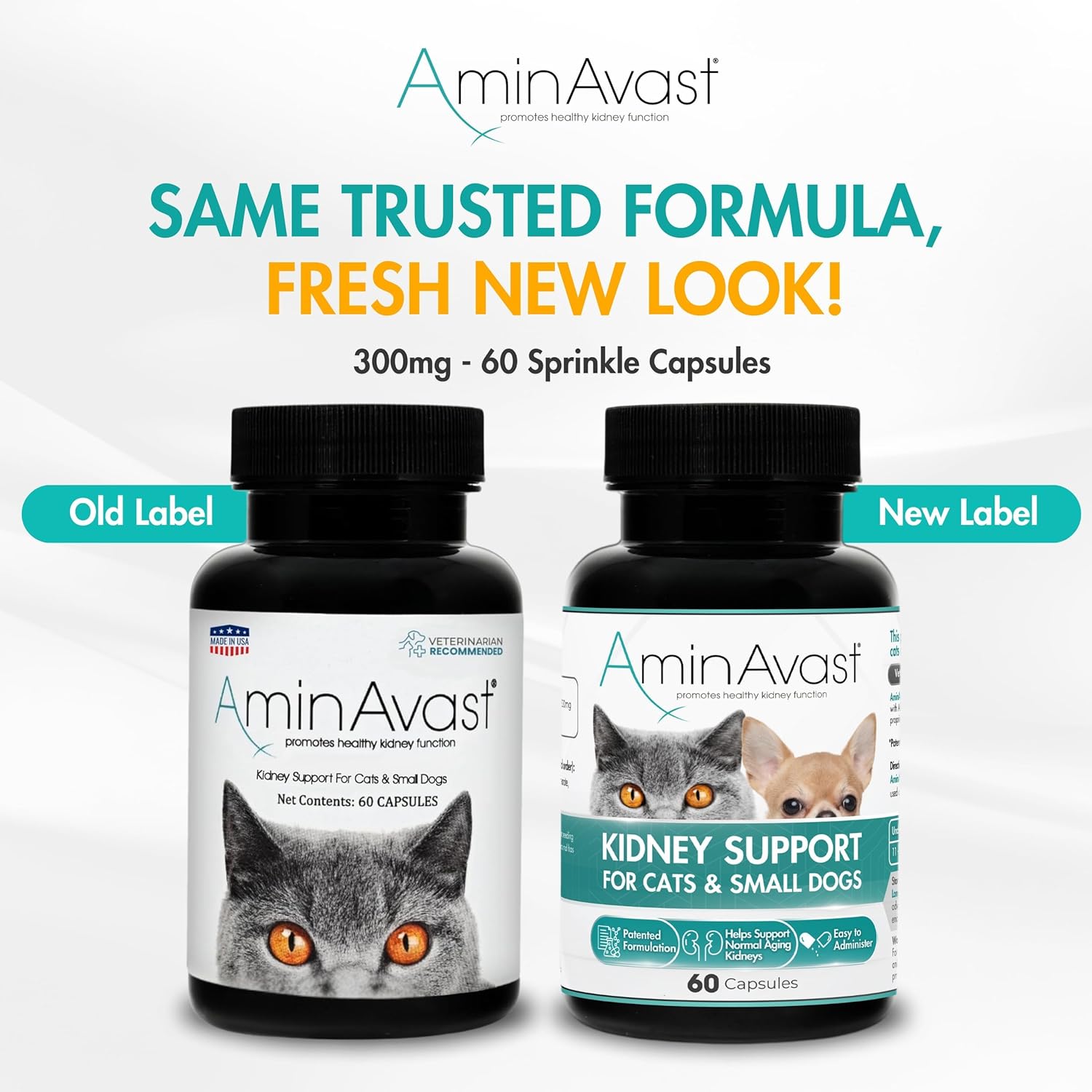 AminAvast Kidney Support Capsules for Cats - 60 Capsules